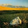Rocky Mountain Front