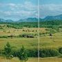 Mule Ranch