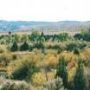 Nevada City