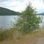 Bull Lake