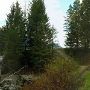 Rock Creek Road
