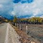 Fall Colors