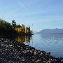 Fall Colors