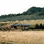 Walks With Burros Ranch