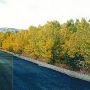 Anaconda  [Fall]