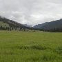 Durnam Meadow