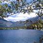 Lake Five Resort
