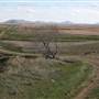 Snake Creek Road