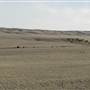 Buffalo Jump Road