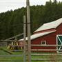 Iddle Ranch
