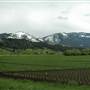 Jackson Creek Road (Spring)
