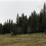 Crosscut Mountain Sports Center - (formerly Bohart Ranch)