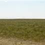 Highway 223- Fort Benton
