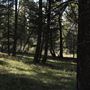 Fleecer Mountain Road