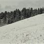 Cut Bank Creek Valley and Overlooks
