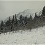 Cut Bank Creek Valley and Overlooks
