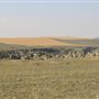 Blackfeet Nation Hoodoos