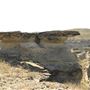 Blackfeet Nation Hoodoos
