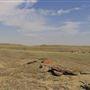 Blackfeet Nation Hoodoos