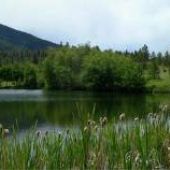 Cox Lake
