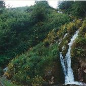 Ford Creek Falls