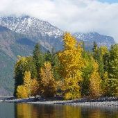 Fall Colors