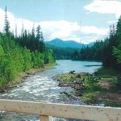 Hungry Horse Creek