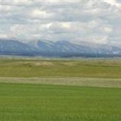 Big Snowy Mountains