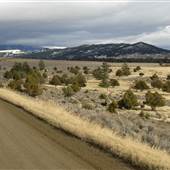 Cottonwood Bench Road