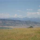 Sheep Mountain