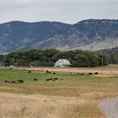 O'Hair Ranch