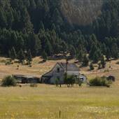 Avon Ranch