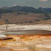 Yellowstone National Park: Mammoth Area