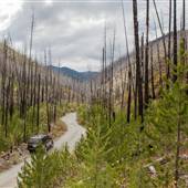 Trail Creek Road