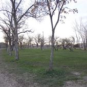 Zurich Park