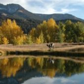 B Bar Ranch