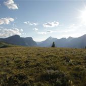 Racine Ranch