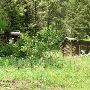 Alder Gulch Mine