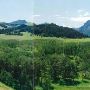 Gallatin Mountains