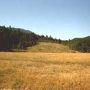 Gibson Dam