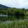 Cox Lake