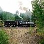 Nevada City Rail