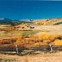Mule Ranch