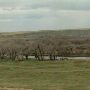 AMS Ranch