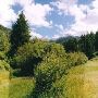 CB Guest Ranch