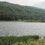 Salmon Lake