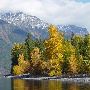 Fall Colors