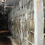 Old Butte Jail