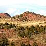 Walks With Burros Ranch