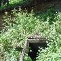 Nevada City: Gold Dredge